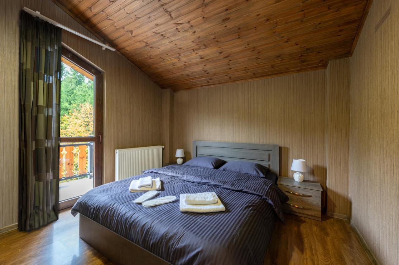 - Didveli Residence Lux Apartments - Бакуриани Екстериор снимка